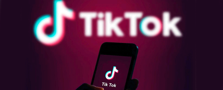 Avusturya'dan TikTok kararı