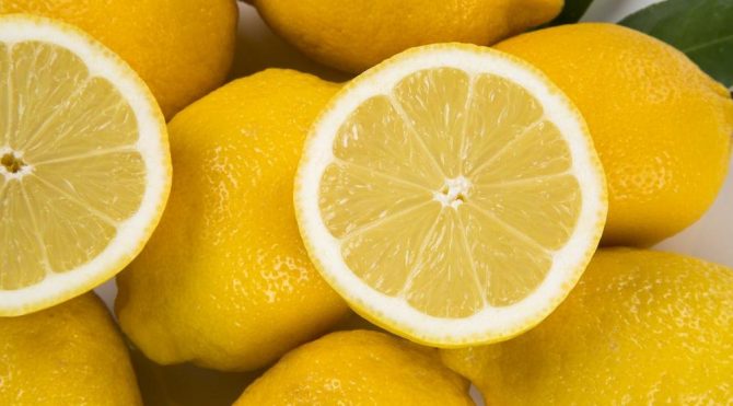 Rusya bir Türk firmadan limon alımını durdurdu