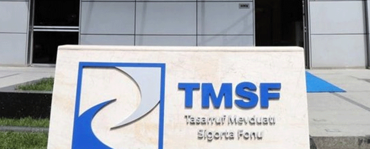TMSF, Yeni Dünya Sağlık Hizmetleri'ni satıyor
