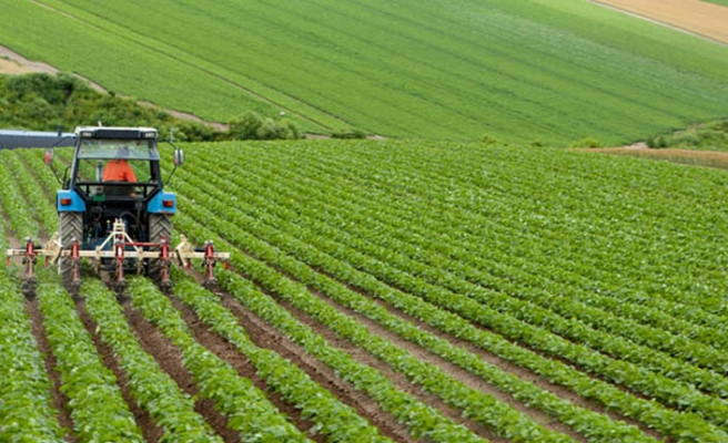 Venezuela'daki tarım yatırımının detayları belli oldu