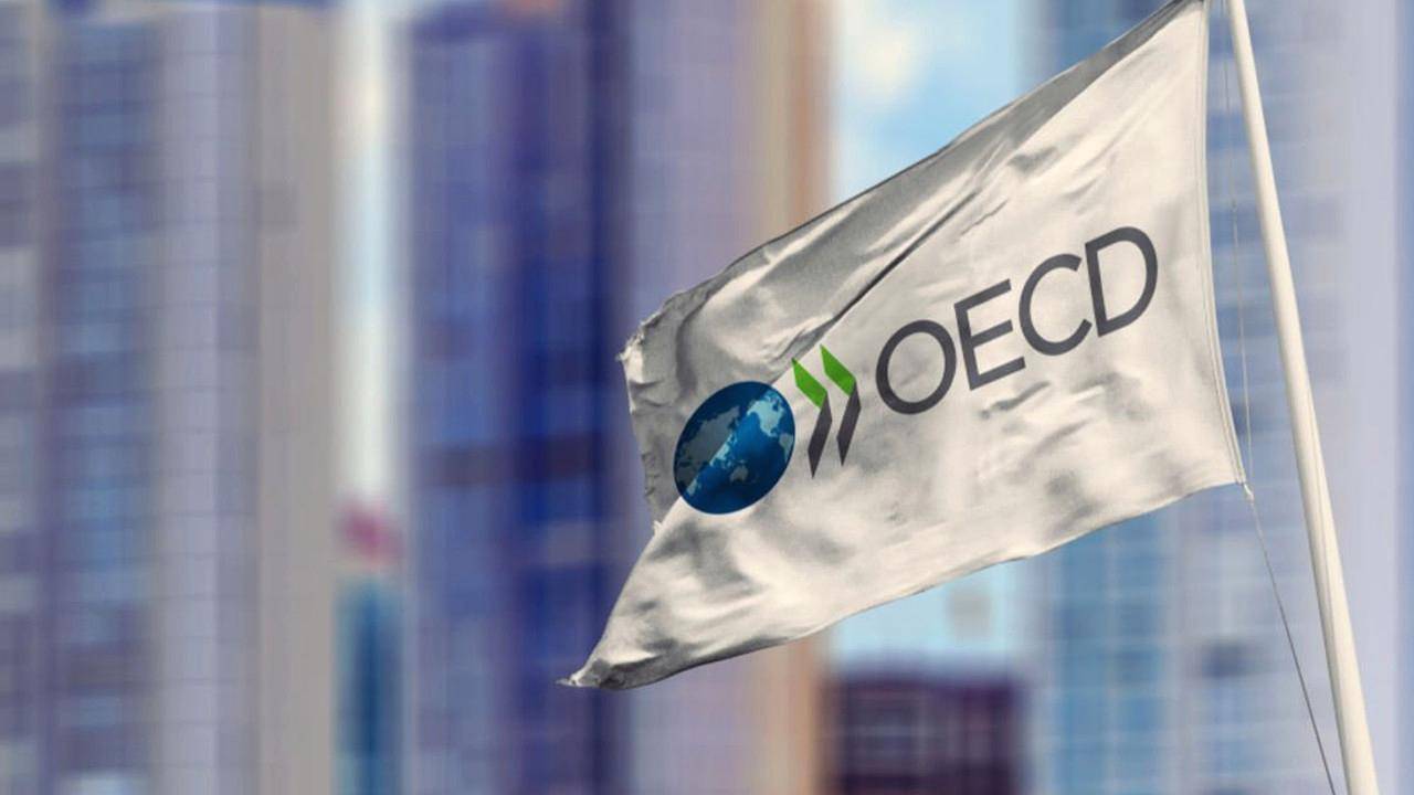 OECD, Türkiye için büyüme tahminini güncelledi