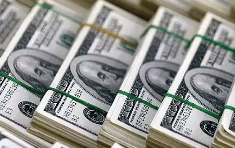 Merkez Bankası Mart ayında 19.7 milyar dolar döviz sattı