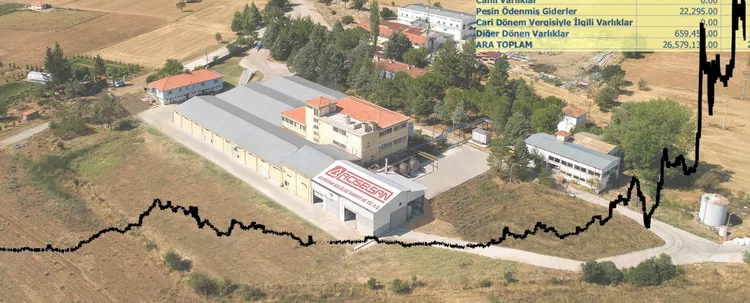 Borsa şirketlerini tanıyalım: Acıpayam Selüloz