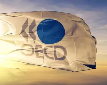 OECD 2023 Türkiye büyüme beklentisini revize etti