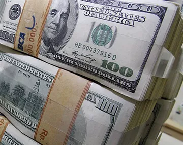 Dövize özel sektör iştahlı, bankalar tok