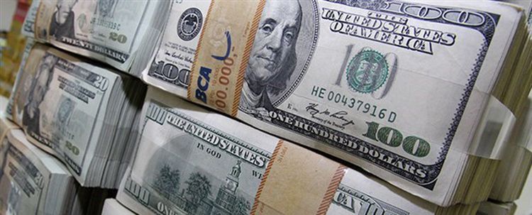 Dövize özel sektör iştahlı, bankalar tok
