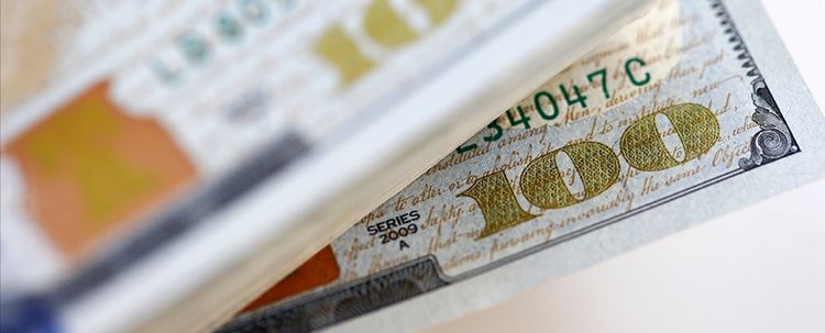 Şirketler, 8 hafta sonra dövize döndü