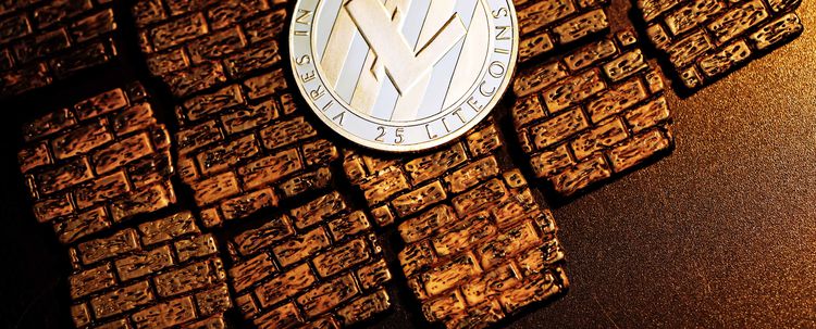 Ripple ve Ether yatırımcıları eğitimli, Litecoin'ciler eğitimsiz,