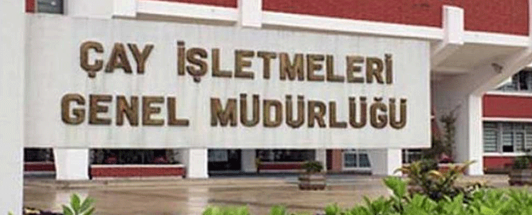 ÇAYKUR'un 2022 karı 60 milyon lira oldu