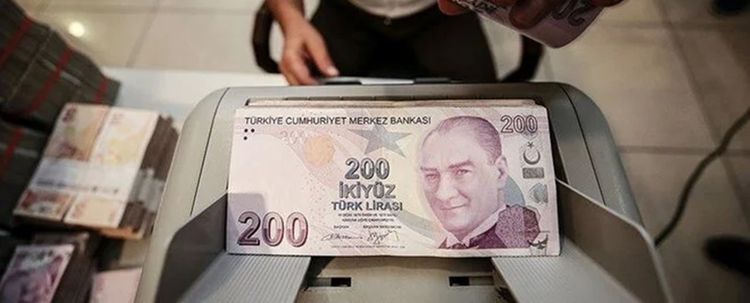 Dövize endeksli TL mevduat aslında ne demek? Devlet ne kadar ödeyecek? Nasıl çalışacak?