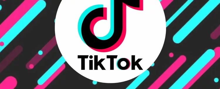 TikTok yasağına Hollanda'da katıldı