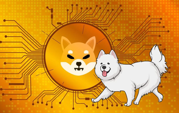 Herkes Shiba'yı konuşurken bu coinler Shiba'yı da katladı