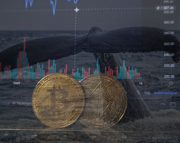 En zengin 4 Bitcoin balinası 32-34 bin dolardan harekete geçti!