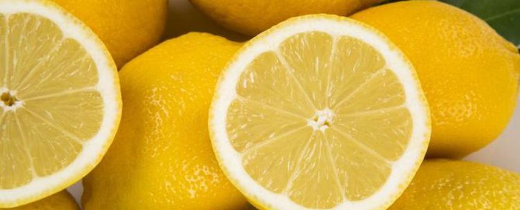 Rusya bir Türk firmadan limon alımını durdurdu