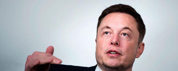 Musk anket açtı, katılımcılar sat dedi!