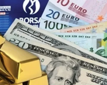 TÜİK, en çok kazandıran yatırım aracını açıkladı