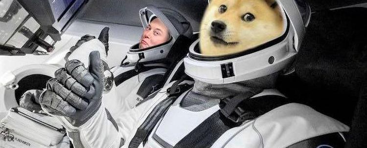 Yine Elon Musk yine manipülasyon! Daddy Doge dedi, coin uçtu
