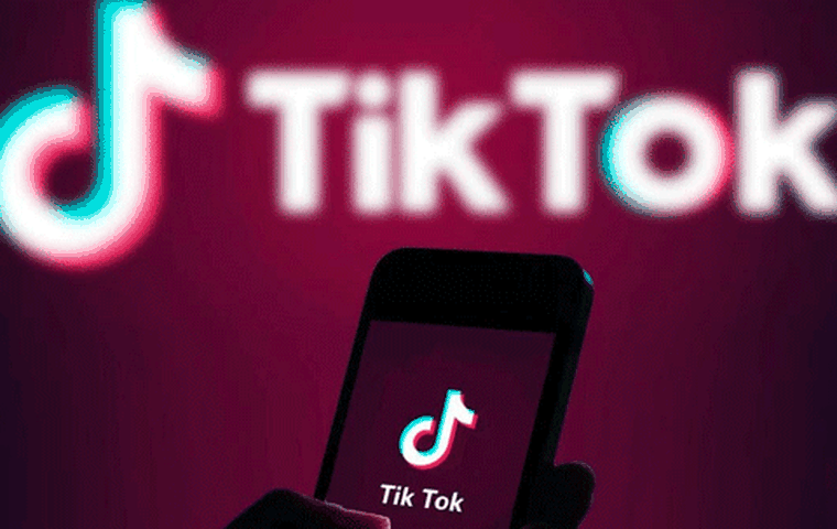 TikTok'tan yeni sohbet botunu