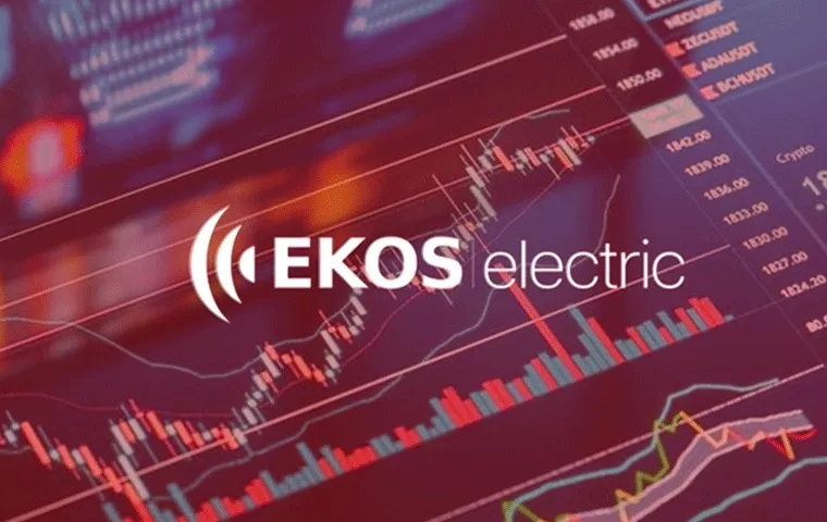 Ekos Elektrik'in halka arz büyüklüğü belli oldu