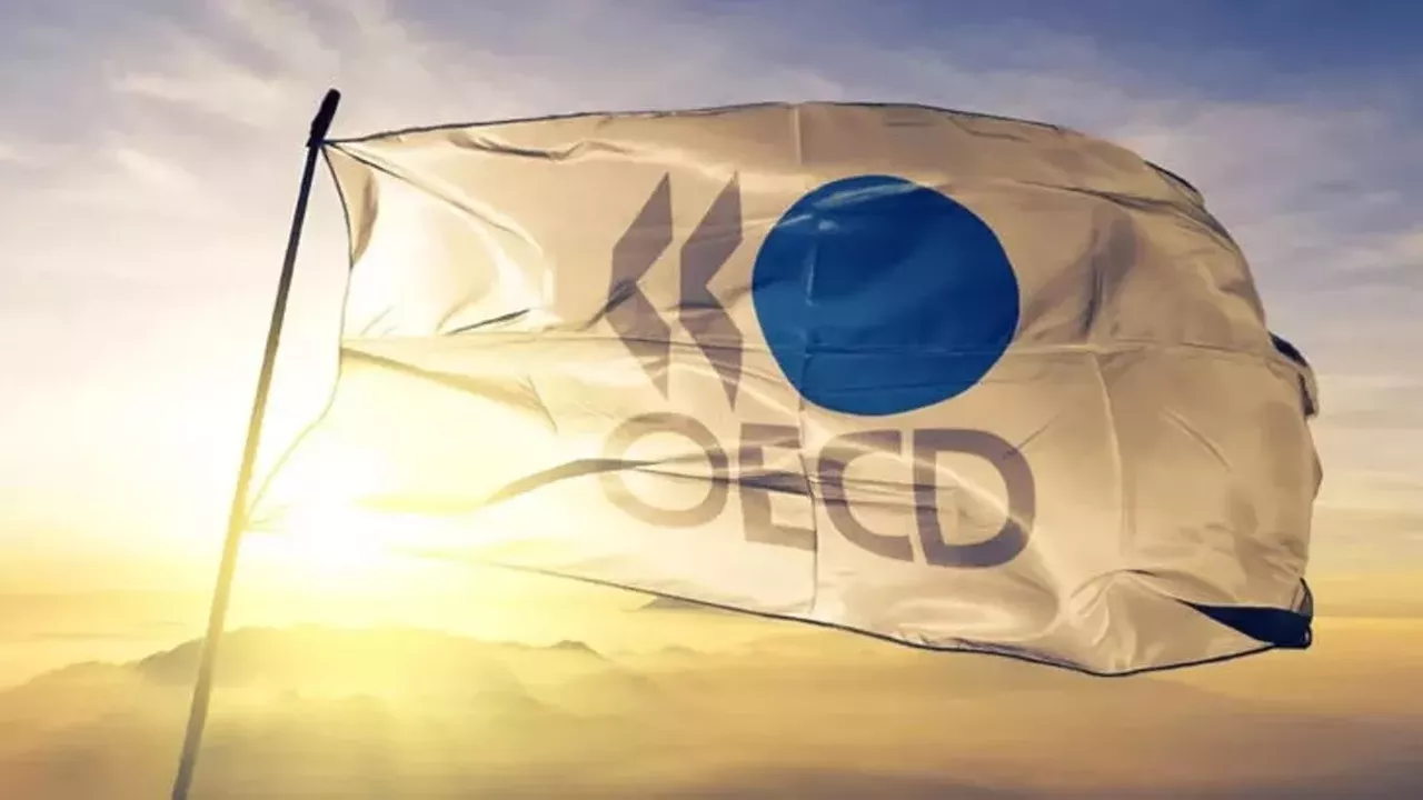 OECD 2023 Türkiye büyüme beklentisini revize etti