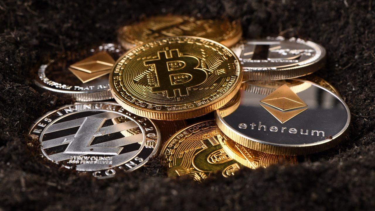 Bitci Pay kullanıma açıldı