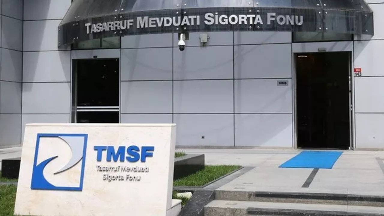 TMSF, Isystems'ı satıyor