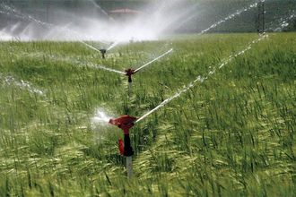Tarımsal destek ödemeleri bugün yapılacak