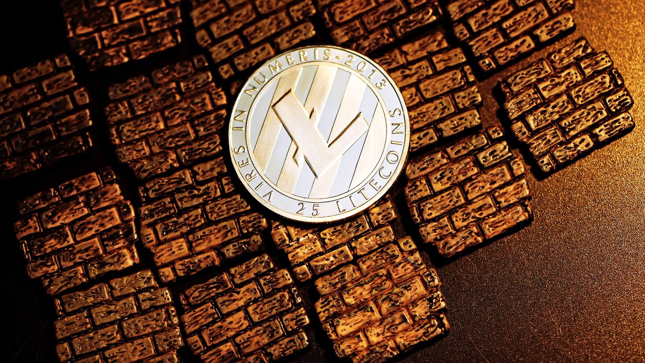Ripple ve Ether yatırımcıları eğitimli, Litecoin'ciler eğitimsiz,