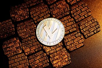 Ripple ve Ether yatırımcıları eğitimli, Litecoin'ciler eğitimsiz,