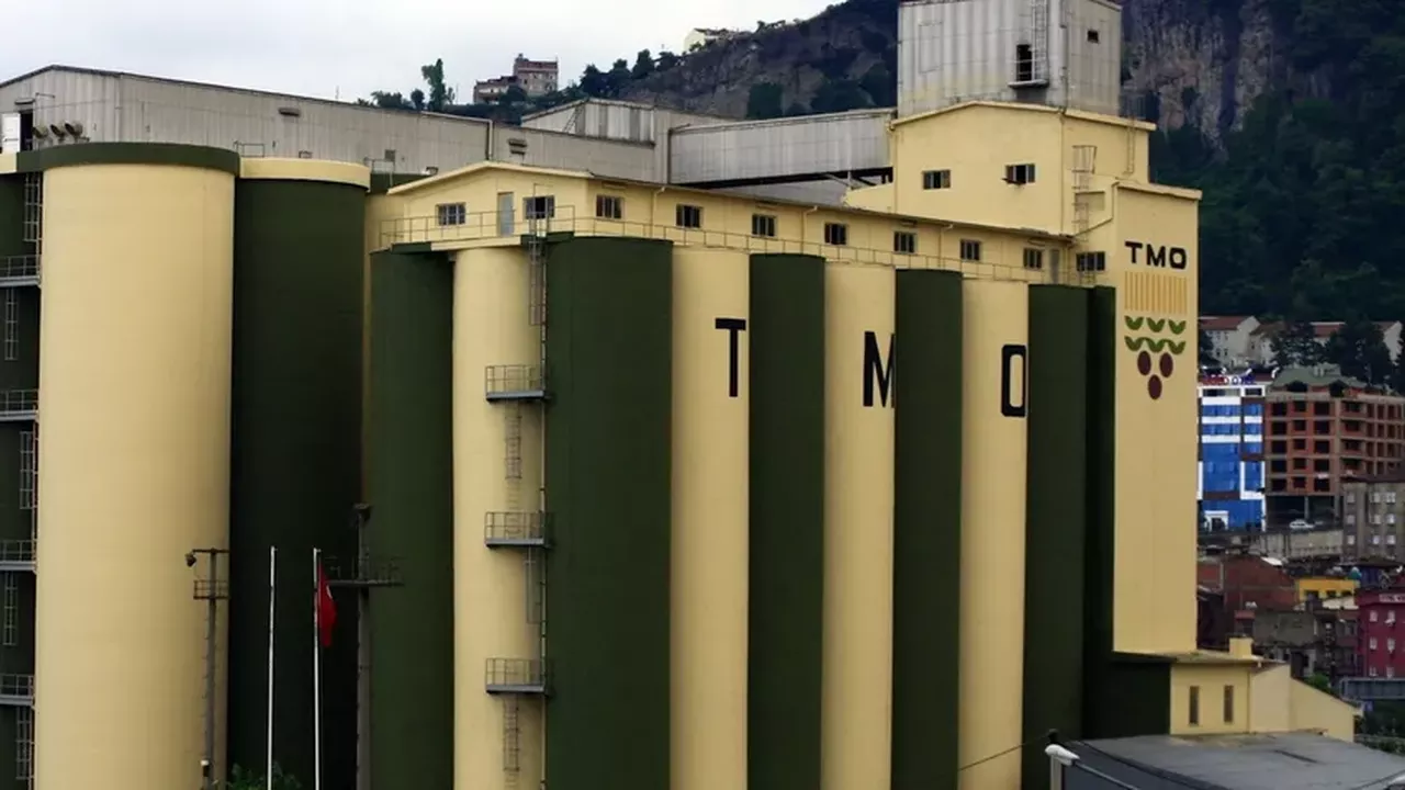 TMO, 2022 hububat alım detayları belli oldu