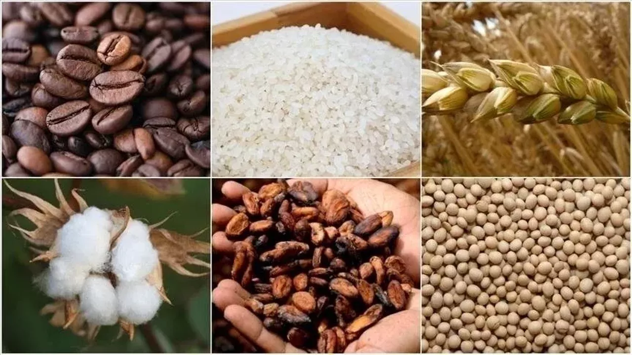 Emtia piyasasında temkinli yükseliş