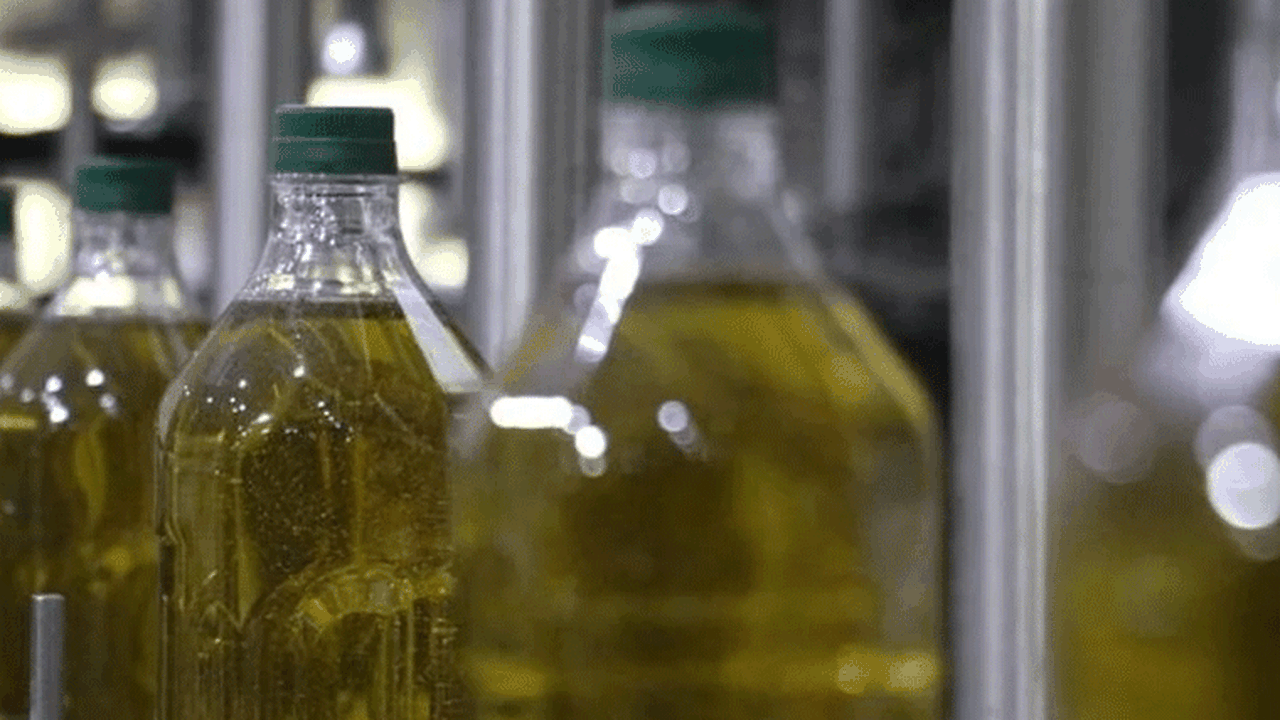 Zeytinyağı ihracat yasağı süresiz uzatıldı