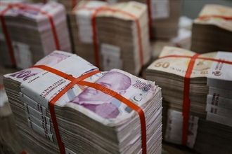 Merkez Bankası, TL depo alım ihaleleri düzenleyecek
