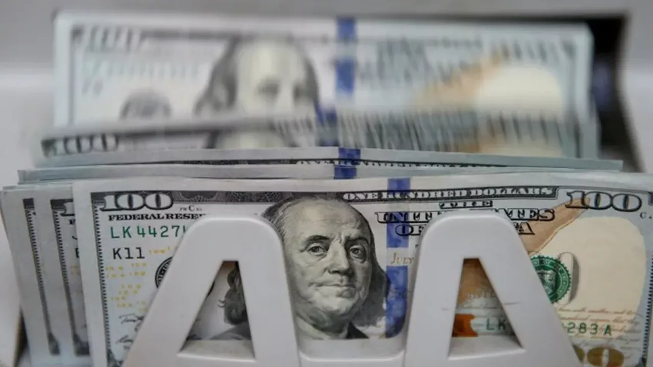 ABD Doları mayısta yatırımcısını sevindirdi