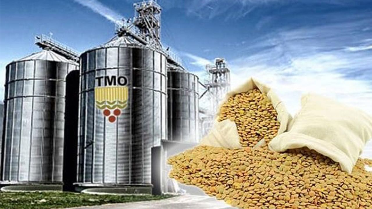 TMO'ya doğrudan ithalat yoluyla alım yetkisi