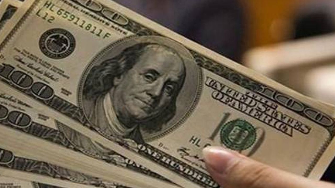 Reel efektif döviz kuru endeksinde yüzde 0,2 oranında artış