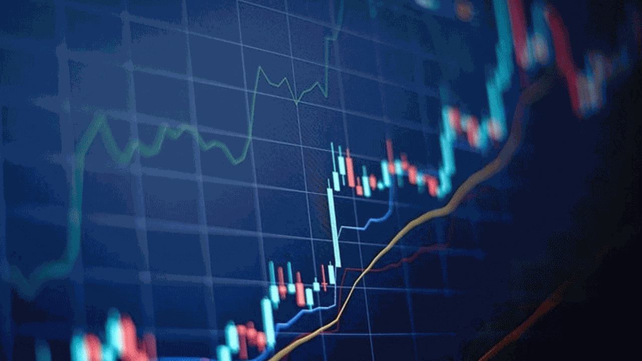 Citi Group, Bim, Migros ve Şok hisselerinde hedef fiyatları değiştirdi
