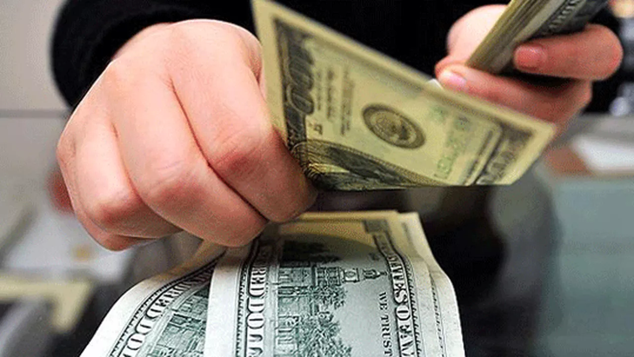 Bankaların günlük döviz limiti yüzde 25'e düşürüldü