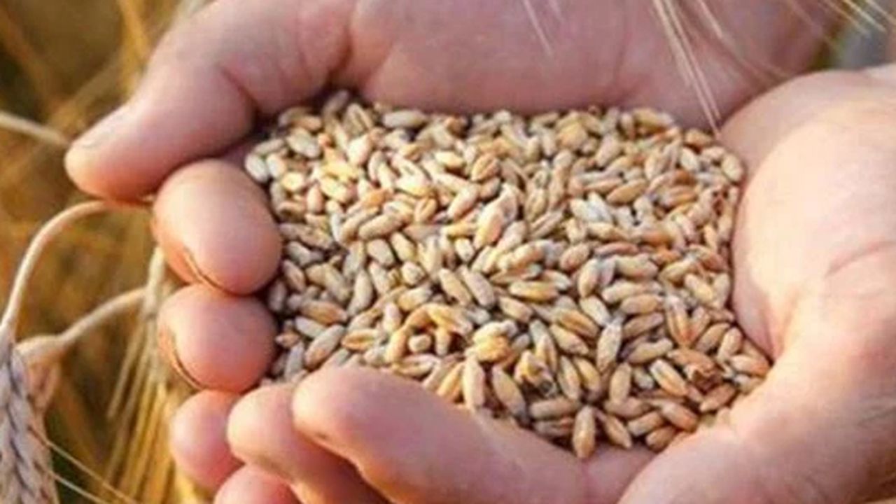 Küresel gıda fiyatları rekor kırmaya devam ediyor