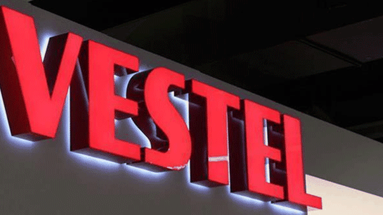 Vestel, iki yurt dışı iştirakini birleştiriyor
