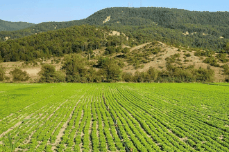 KDV'den muaf arsa satışı başlıyor