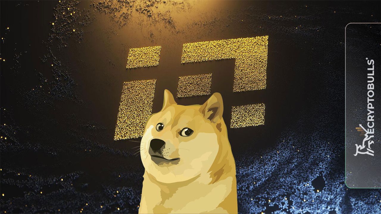 Binance, Dogecoin sorununu çözdü