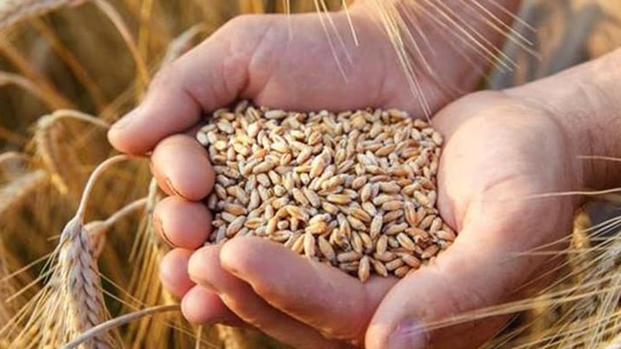 İnsanlık için büyük tehdit: Gıda krizi sürüyor