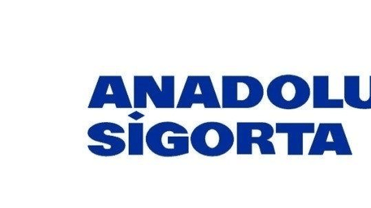 Anadolu Sigorta’ya yeni GMY