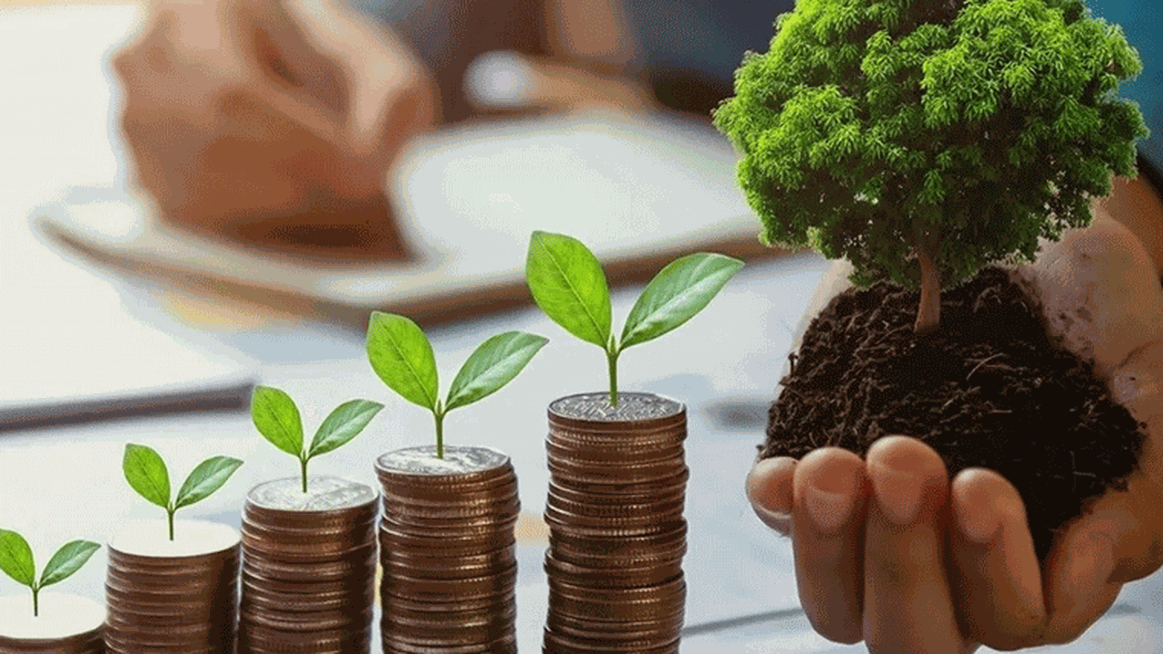 Türkiye'deki bankaların "iklim karnesi" açıklandı