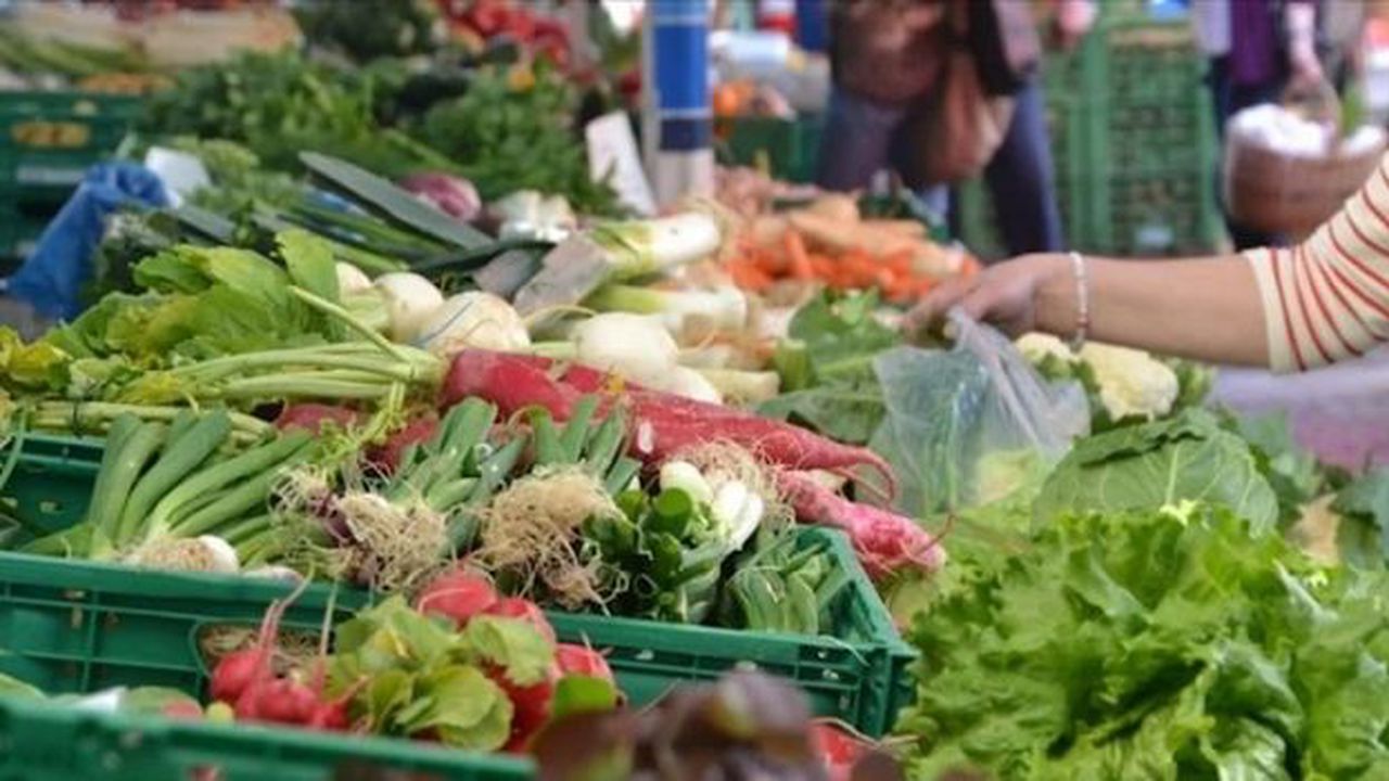 Dünya gıda fiyatları gerileme devam ediyor